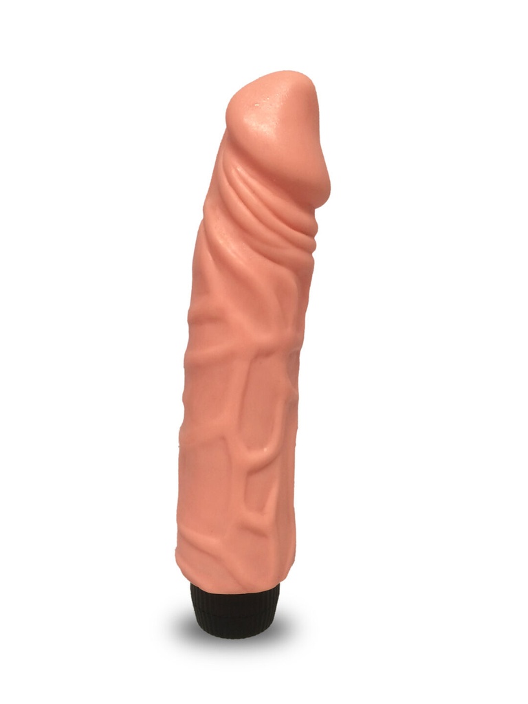 VIBRADOR STYLISH 19CM COLOR CARNE